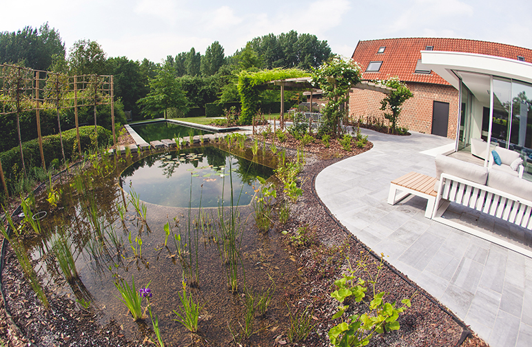 Rustieke tuin met zwemvijver Rustieke tuin met zwemvijver
