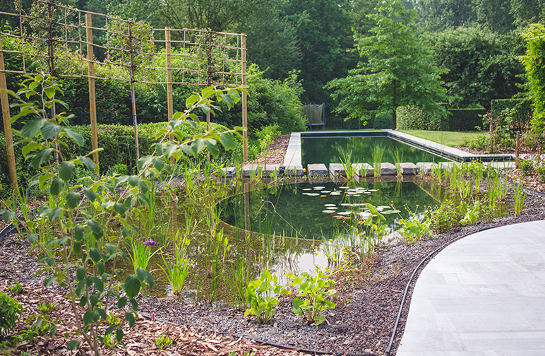 Rustieke tuin met zwemvijver Rustieke tuin met zwemvijver