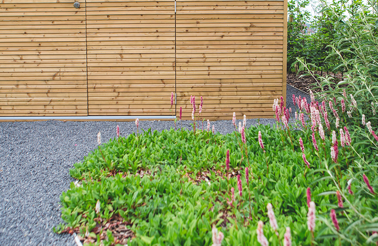 tuinwerken willemsens - kleine tuin herent tuinwerken willemsens - kleine tuin herent