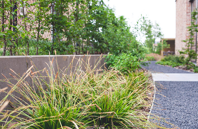 tuinwerken willemsens - kleine tuin herent