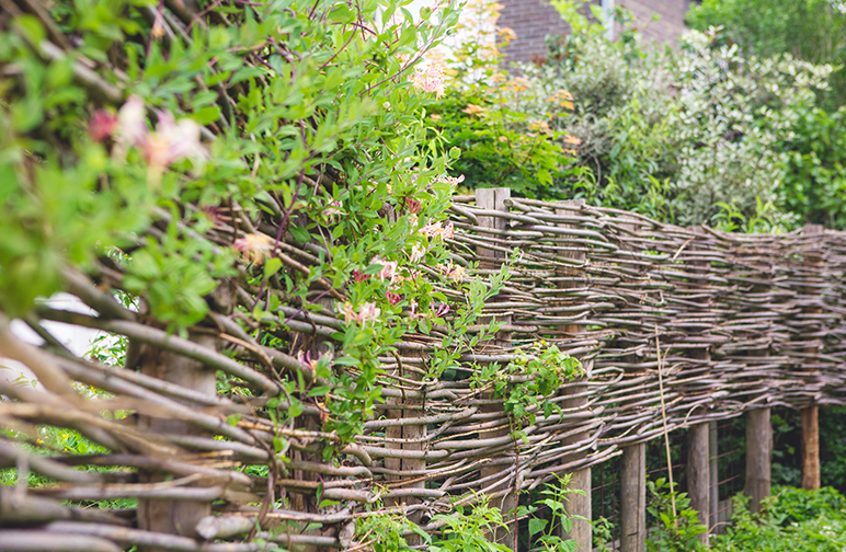 tuinwerken willemsens - tuin herent