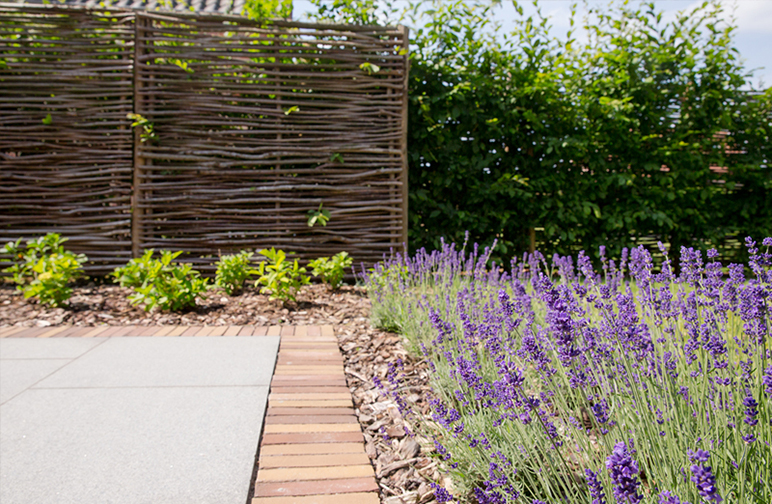 tuinwerken willemsens - kleine tuin herent tuinwerken willemsens - kleine tuin herent