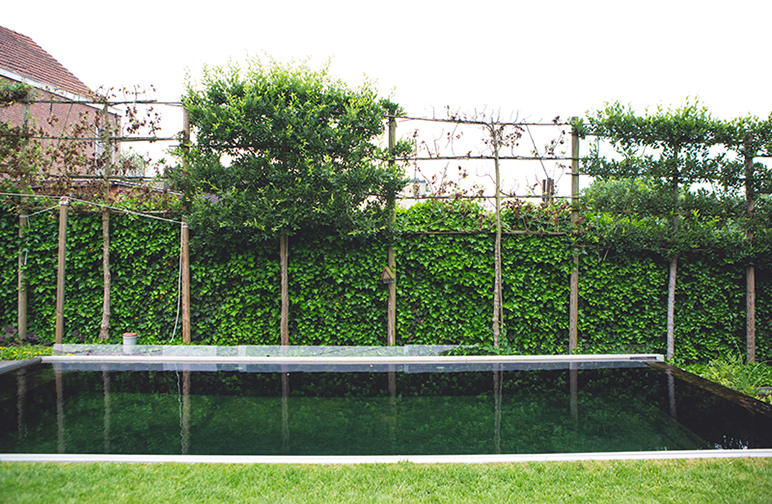tuinwerken willemsens - tuin holsbeek tuinwerken willemsens - tuin holsbeek