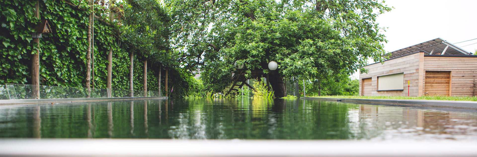 Zwemvijver in Holsbeek Zwemvijver in Holsbeek