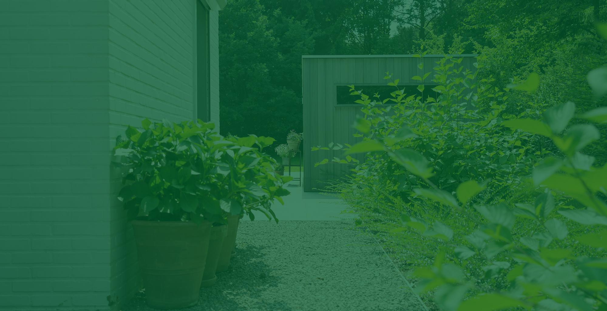 Praktische tuintips en inspiratie voor elk seizoen