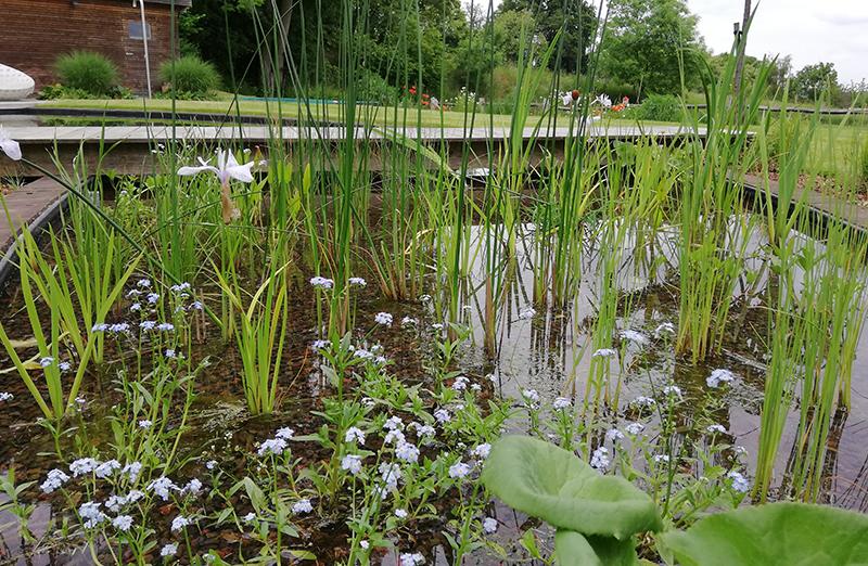 Zwemvijver Kessel-Lo Zwemvijver Kessel-Lo