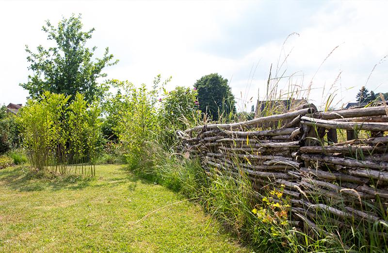 Natuurlijke zwemvijver Natuurlijke zwemvijver