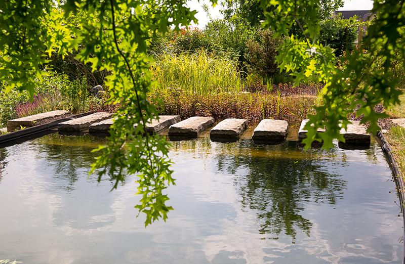 Natuurlijke zwemvijver