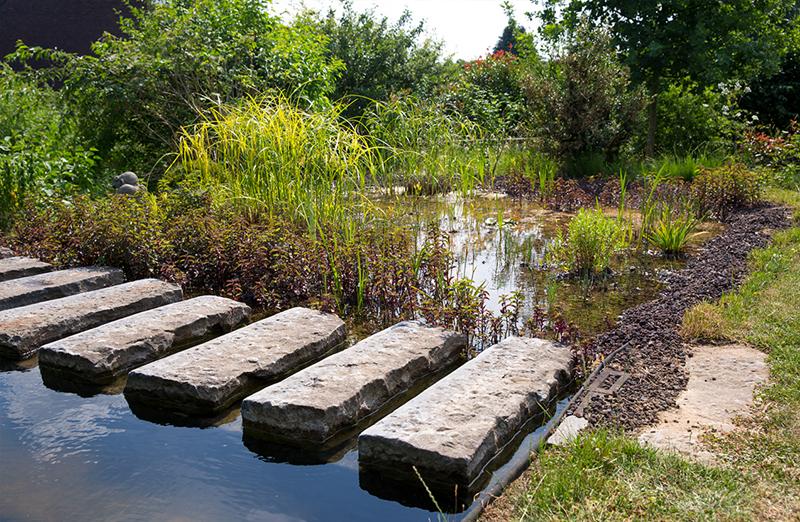 Natuurlijke zwemvijver