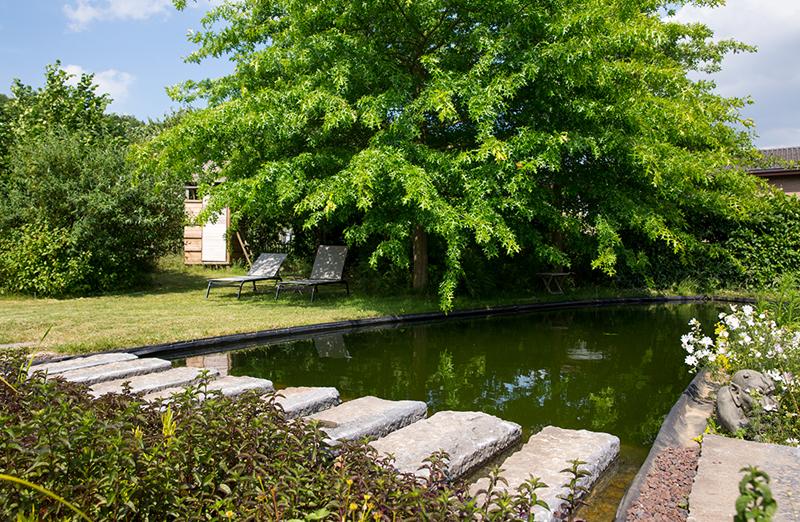 Natuurlijke zwemvijver Natuurlijke zwemvijver
