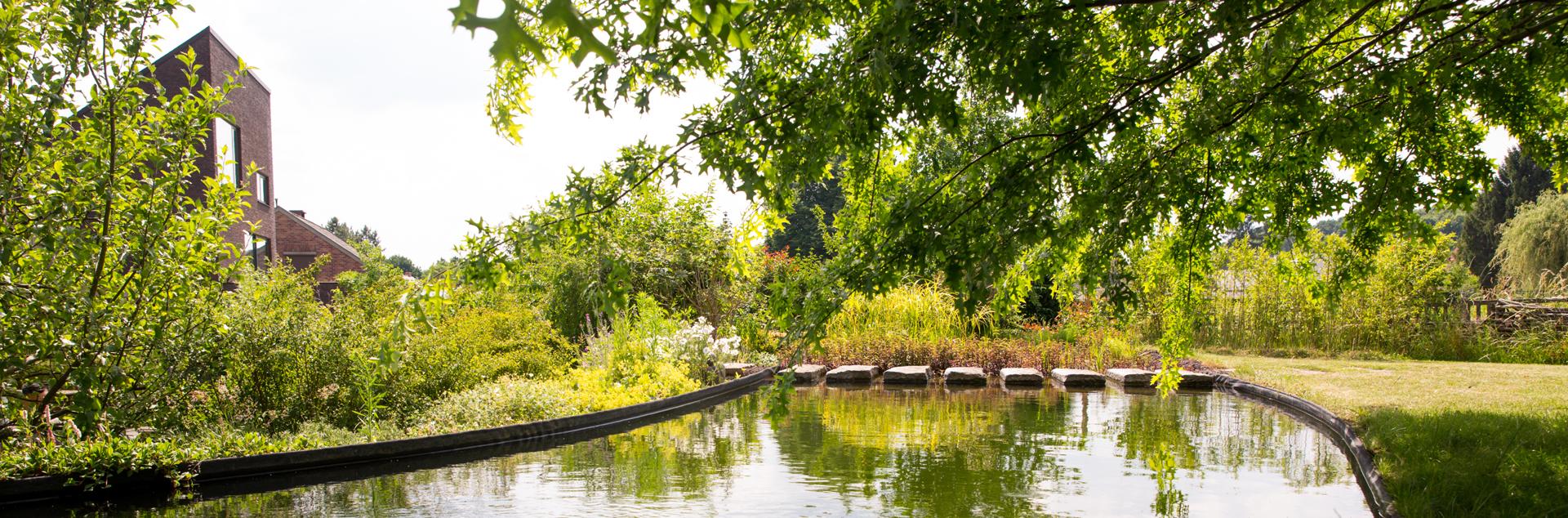 Ontdek een natuurlijke zwemvijver waar men helemaal tot rust komt