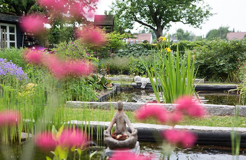 Natuurlijke tuin Blanden Natuurlijke tuin Blanden