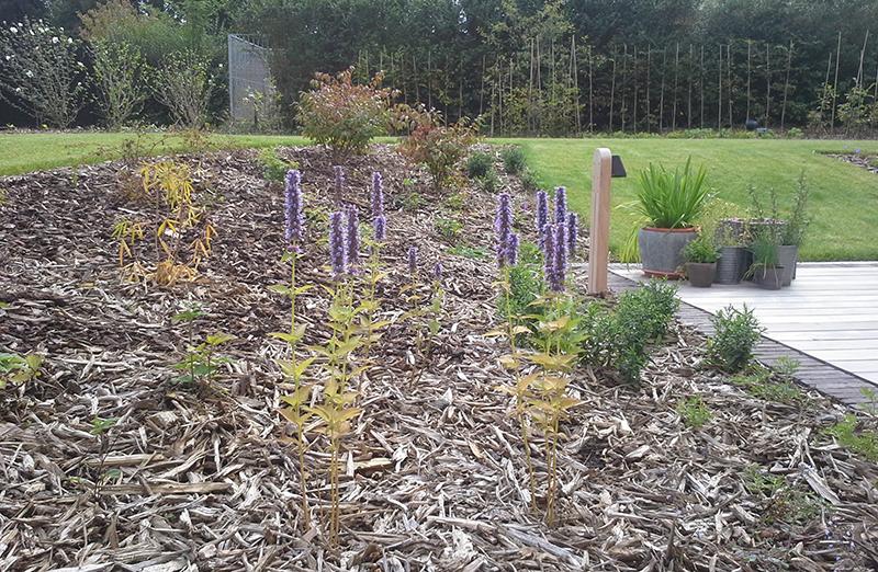 Glooiende tuin met halfverharding Glooiende tuin met halfverharding