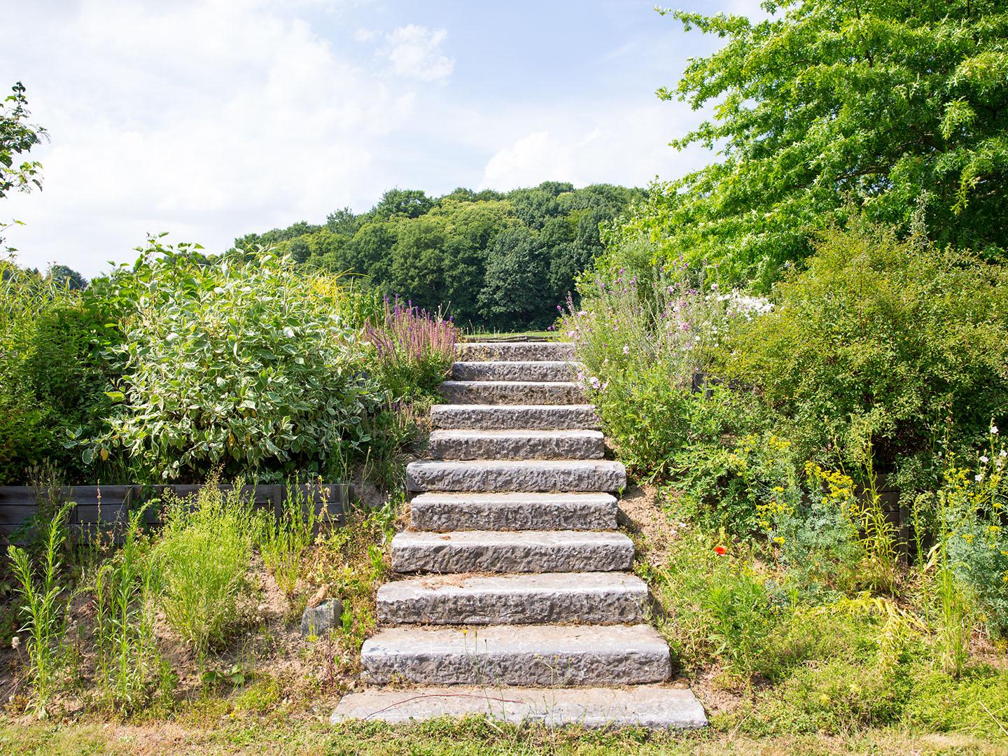 Zwemvijver Tuinwerken Willemsens