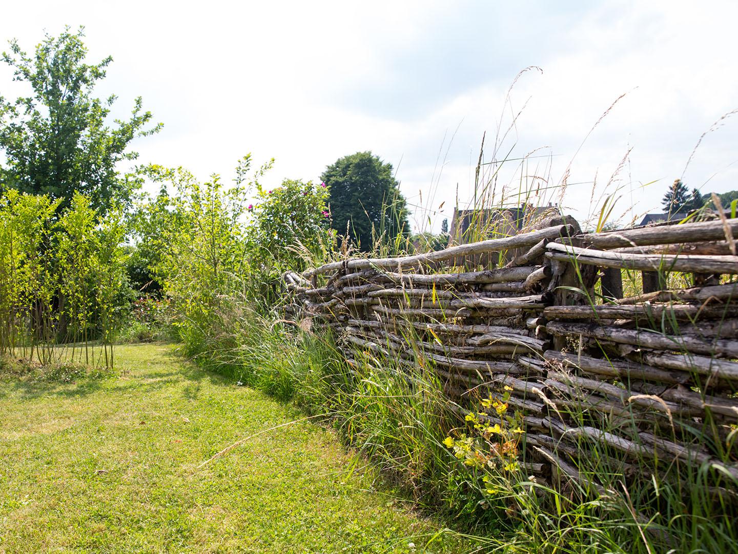 Zwemvijver Tuinwerken Willemsens