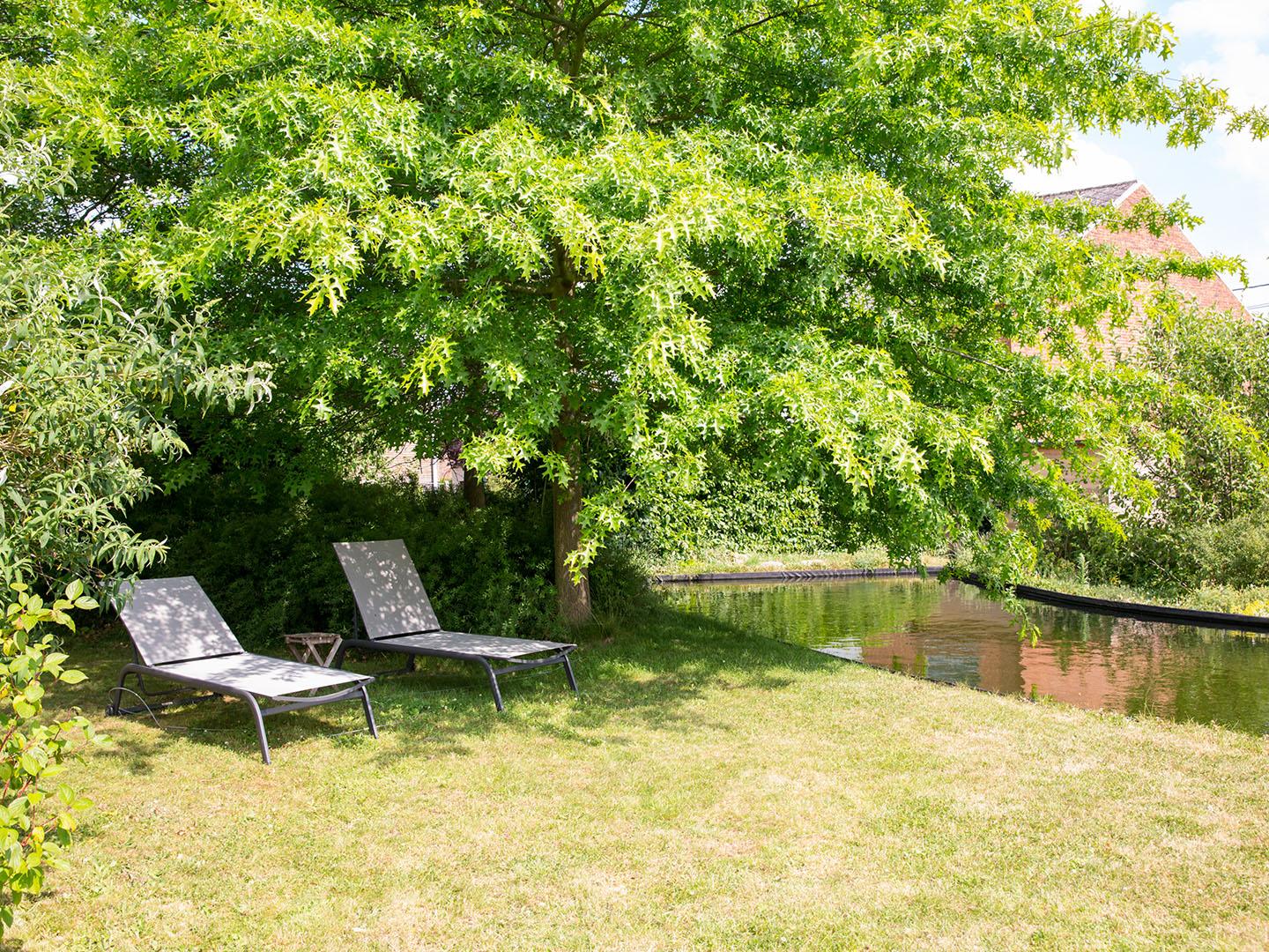 Zwemvijver Tuinwerken Willemsens