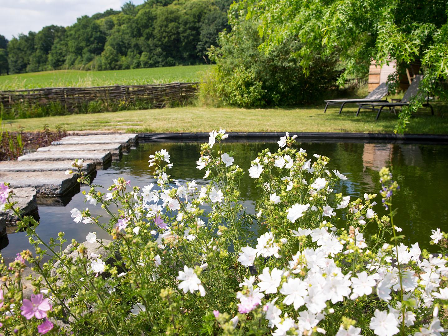 Zwemvijver Tuinwerken Willemsens